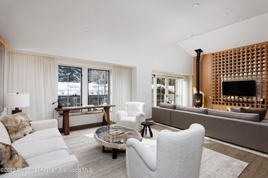 550 S Spring St unit 392, Aspen, CO 81611 - photo 6