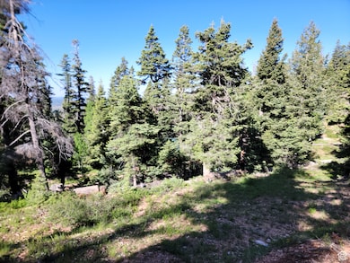 6220 W Brook Ln, Duck Creek, UT 84762 - photo 6