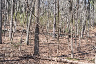 1 Sherry Rd, Harvard, MA 01451 - photo 3