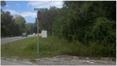 0 Carter Rd, Crawfordville, FL 32327 - photo 3