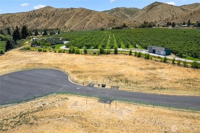 6 Penstemon Ln, Monitor, WA 98836 - photo 3