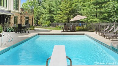 Diving Board