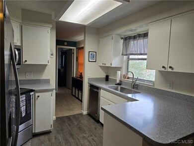 255 W Staggerbush Path, Beverly Hills, FL 34465 - photo 7