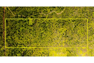 0 Waimaka O Pele Rd, Mountain View, HI 96771 - photo 3