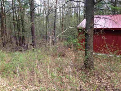 131 Sherman Rd, Middle Grove, NY 12850 - photo 6