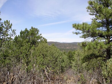 Mountain views