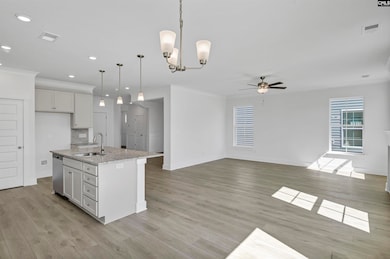 620 Thunder Gulch Ave, Lexington, SC 29073 - photo 6