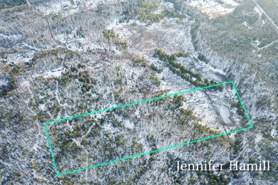 Pentwater 12.5 Acres-6