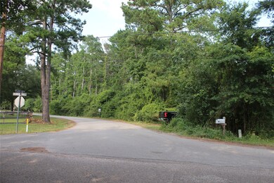 218 Dogwood Trail, Magnolia, TX 77354 - photo 5