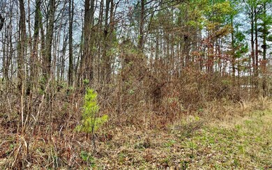 Additional View