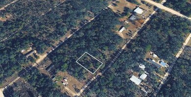 0 NE 64th Place unit MFRTB8453106, Williston, FL 32696 - photo 4
