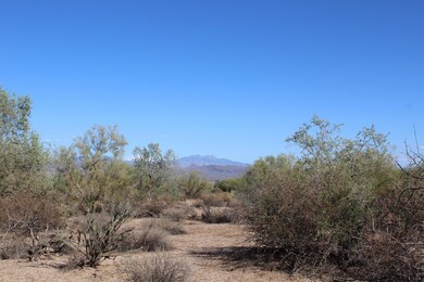 1+ Acres