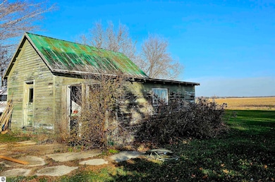 6776 N Pingree Rd, Alma, MI 48801 - photo 7