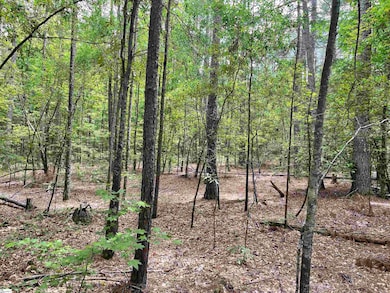 00 Clatworthy Rd, Honea Path, SC 29654 - photo 3