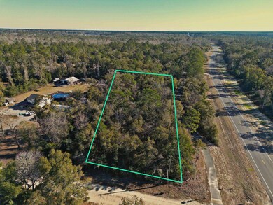 xx Lonesome Rd, Crawfordville, FL 32327 - photo 2