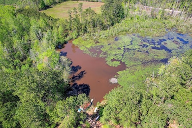 6087 Neals Mill Rd, Dearing, GA 30808 - photo 7