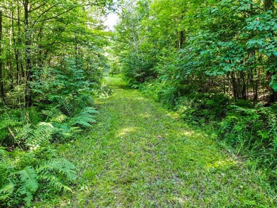 10033 Hwy 86, Tomahawk, WI 54487 - photo 3