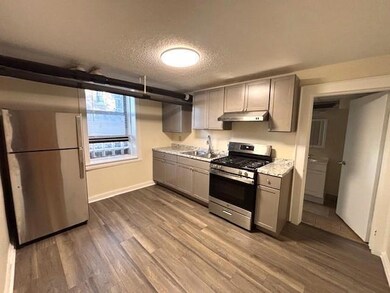 All new kitchen! new floors, cabinets, countertops and applicanes