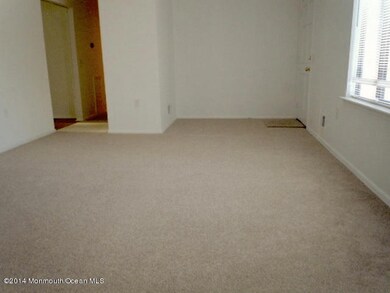 LR Carpet 2