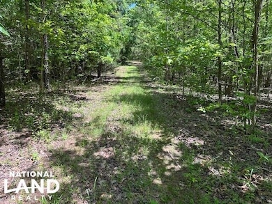 0 May Branch Rd, Cypress Inn, TN 38452 - photo 7