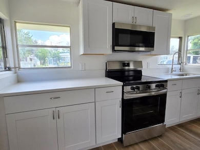 7215 Lofty Dr, Port Richey, FL 34668 - photo 4