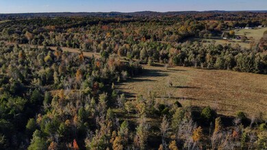 1 County Road 78, Russellville, AL 35654 - photo 6