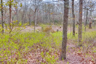 20 Luce Farm Rd, West Tisbury, MA 02575 - photo 7