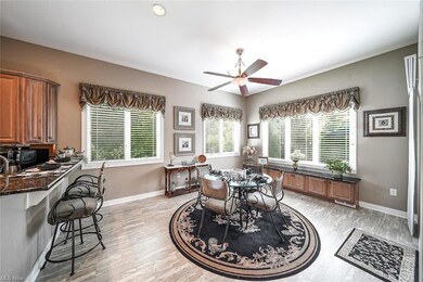 616 Burgess Cir unit 19, Aurora, OH 44202 - photo 7