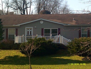 Sunny Pictures 006