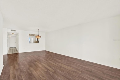 6060 Shore Blvd S unit 909, Gulfport, FL 33707 - photo 6