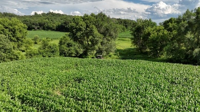 0 Hammer Rd, Sparta, WI 54656 - photo 7