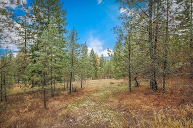 4425 Stonebrook Way, Springdale, WA 99173 - photo 7