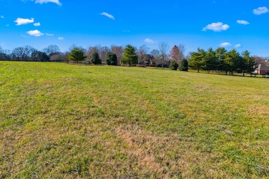 Lot 66 River Dr, Blaine, TN 37709 - photo 6