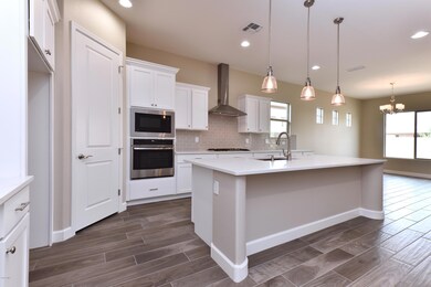 Upgraded Built-in Appliances