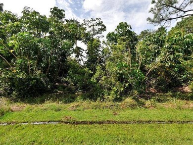 1650 SW Buffum Ln, Port Saint Lucie, FL 34984 - photo 2