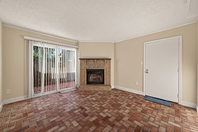 Wood burning fireplace and patio entrance