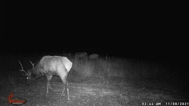 D-LOT 3 Immel Rd, Chewelah, WA 99109 - photo 6