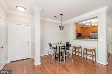 4850 Eisenhower Ave unit 203, Alexandria, VA 22304 - photo 4