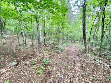 Lot 1 and 6 Grace and Granite Hill Rd, Wilmot, NH 03287 - photo 7