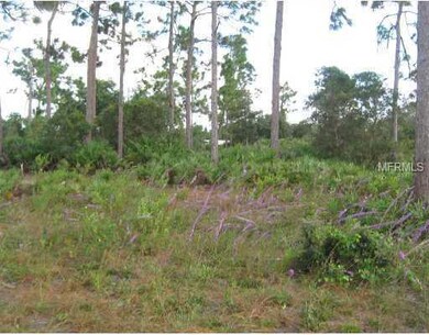 Mustang Ct, Saint Cloud, FL 34771 - photo 6