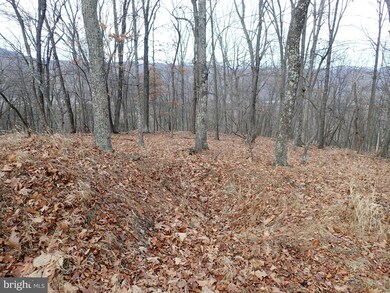 201 Hampshire Ridge, Romney, WV 26757 - photo 4