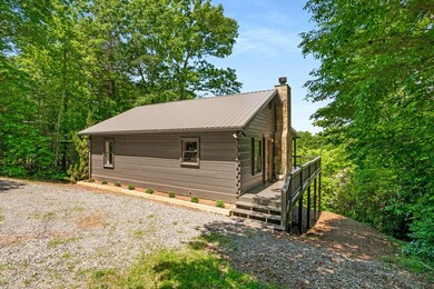 118 Lakota Ln, Mineral Bluff, GA 30559 - photo 2