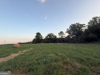 9 W L Williams Rd, Commerce, GA 30530 - photo 6