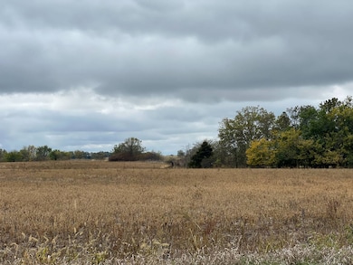 5153 NE 1004 Rd, Butler, MO 64730 - photo 3