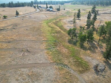 329X Skok Rd, Valley, WA 99181 - photo 4