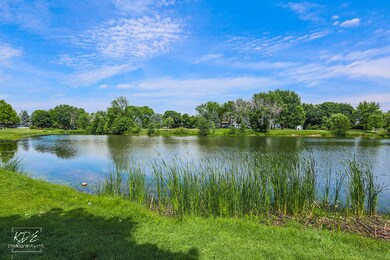 11S707 Schillinger Dr, Naperville, IL 60564 - photo 3