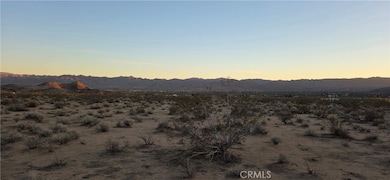 2 Belmont St, Joshua Tree, CA 92252 - photo 5