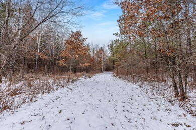 TBD Minnesota 210, Baxter, MN 56425 - photo 6