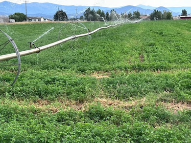 TBD M Scotty Dr, Helena Valley Southeast, MT 59602 - photo 2