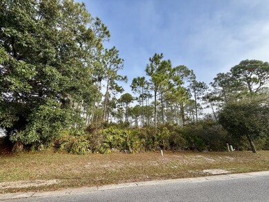 117 Crane Dr, Port St. Joe, FL 32456 - photo 4